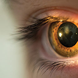Holloway Vision Optometry Clinic Eye Doctor Vision Testing Wangaratta